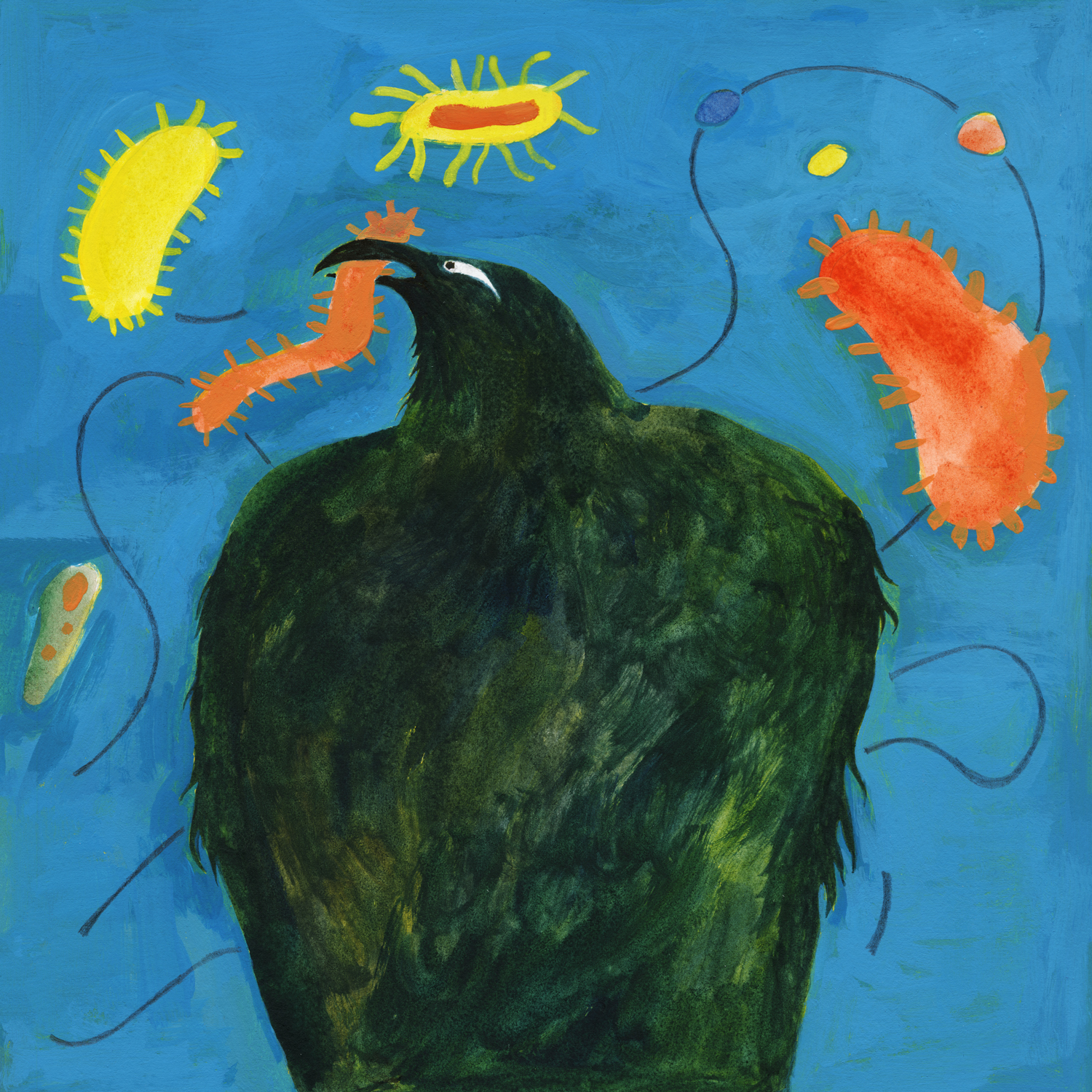 bacteriaillustration