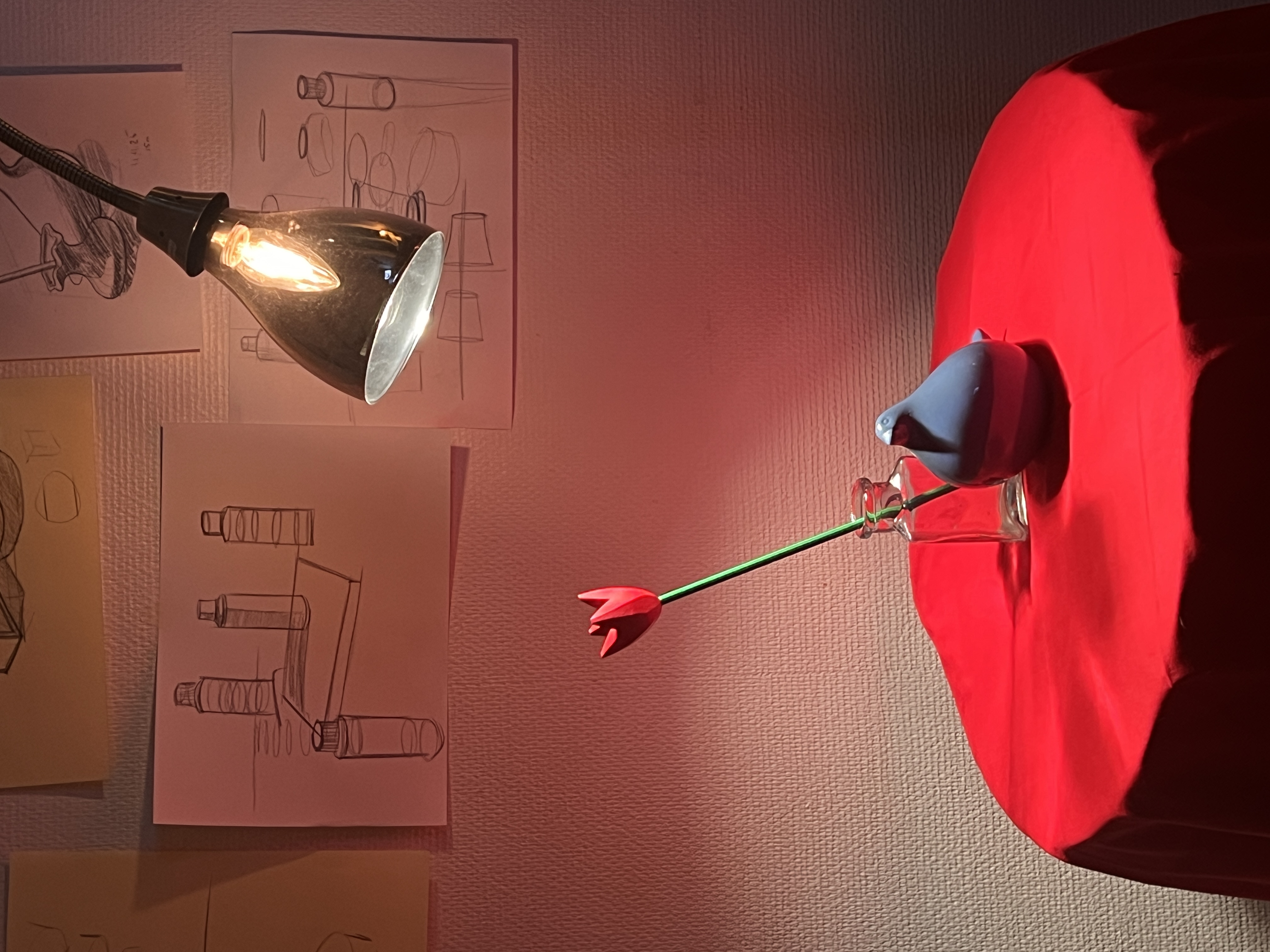 Studio Luzano drawing setup